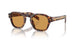 TORTOISE & LIGHT BROWN 14O60F / 49