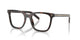HAVANA TORTOISE 17N1O1 / 50