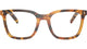 CINNAMON TORTOISE 29C1O1 / 50