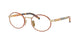 PALE GOLD & HONEY BROWN TORTOISE 22E1O1 / 52
