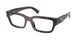 ROOT TORTOISE 17N1O1 / 54