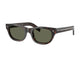 HAVANA BROWN & GREEN 17N03R / 51