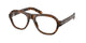 JUNIPER TORTOISE 20D1O1 / 52