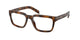 JUNIPER TORTOISE 20D1O1 / 52