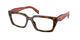 JUNIPER TORTOISE 01K1O1 / 53