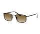 BLACK & BROWN 1AB20U / 49
