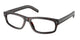 ROOT TORTOISE 17N1O1 / 55