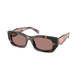 PURPLE & LIGHT BROWN   23A60B / 53