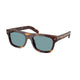 CLASSIC TURTLE & GREEN   15W04D / 55