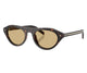 HAVANA BROWN 17N70R / 51