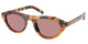 CINNAMON TORTOISE 29C05Z / 51