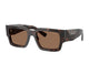 HAVANA BROWN & DARK BROWN  17N06B / 54