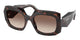 ROOT TORTOISE 17N10S / 54