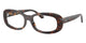 TORTOISE 2012 / 51