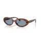 STRIPED HAVANA & BLUE 954/56 / 54