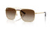 GOLD & BROWN 001/13 / 60
