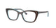 BROWN & TRANSPARENT BLUE 8366 / 50