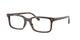 TORTOISE 2012 / 52