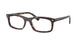 TORTOISE 2012 / 54