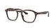 TORTOISE 2012 / 50