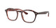 TORTOISE & RED 8488 / 50