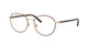 TORTOISE & PALE GOLD 3193 / 53