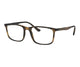 HAVANA BROWN 2012 / 53