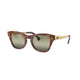 STRIPED HAVANA 954/G4 / 53
