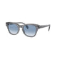 CRYSTAL & TRANSPARENT GREY 66413F / 50