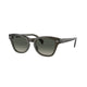TRANSPARENT OLIVE GREEN 664271 / 53