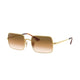 GOLD & BROWN 914751 / .
