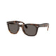 HAVANA DARK GREY 710/B1 / 50