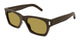 BROWN 021 / 54