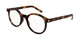 TORTOISE  002 / 50