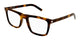 LIGHT TORTOISE 006 / 54