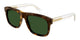 LIGHT TORTOISE 002 / 57