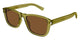 SHINY OLIVE GREEN & BROWN 005 / 54