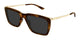 TORTOISE GOLD 004 / 56