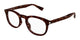 TORTOISE 002 / 50