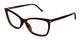 TORTOISE 002 / 53