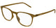 BROWN 005 / 51