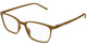 BROWN 005 / 53