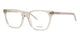 TRANSPARENT NUDE BEIGE BROWN 005 / 54