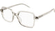 TRANSPARENT BEIGE 004 / 54