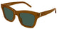 BROWN & GREEN 005 / 52