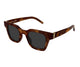 HAVANA BROWN 003 / 47