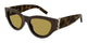 BROWN 010 / 53