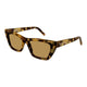 HAVANA BROWN 037 / 53