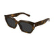 HAVANA BROWN GREY 002 / 55