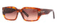 SHINY BROWN HAVANA & BROWN GRADIENT 53T / 56